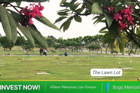 bogo-memorial-park-lawn-lot