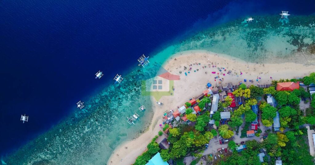 Oslob Whale Shark Cebu, Philippines