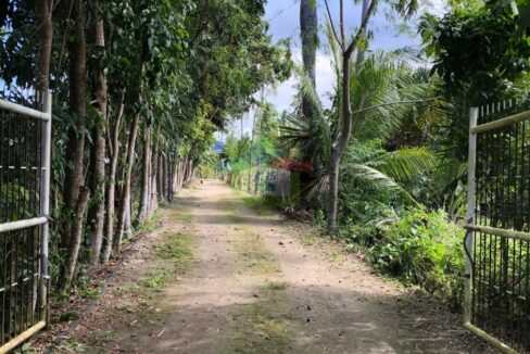 White-Sand-Beach-Property-For-Sale-in-San-Remigio-Cebu-Driveway