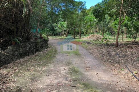 White-Sand-Beach-Property-For-Sale-in-San-Remigio-Cebu-Entrance