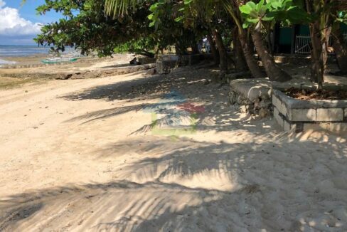 White-Sand-Beach-Property-For-Sale-in-San-Remigio-Cebu-Shore-1