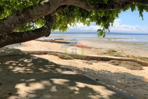 White-Sand-Beach-Property-For-Sale-in-San-Remigio-Cebu-Shore