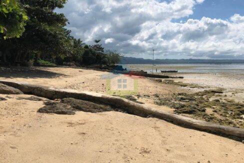 White-Sand-Beach-Property-For-Sale-in-San-Remigio-Cebu-Shoreline