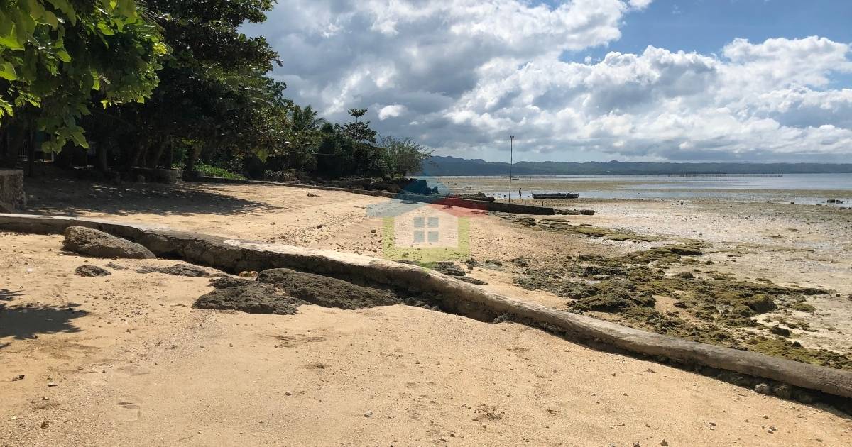 White-Sand-Beach-Property-For-Sale-in-San-Remigio-Cebu-Shoreline