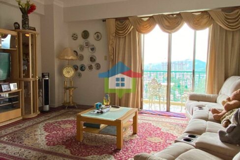 Cityview-Condo-Unit-For-Sale-Parking-Citylights-Garden-Living-Room