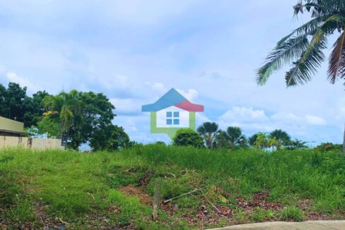 residential-lot-for-sale-amara-catarman-liloan-lot-view