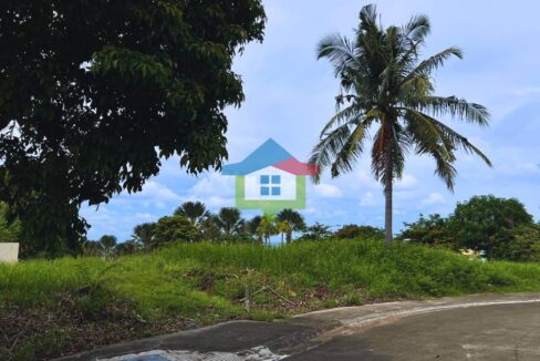 residential-lot-for-sale-amara-catarman-liloan-vacant-lot