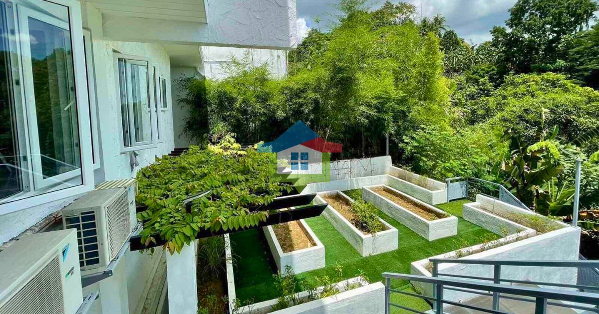 Modern-Luxury-House-Sale-Maria-Luisa-Estate-Park-Cebu-City-Vegetable-Rooftop-Garden