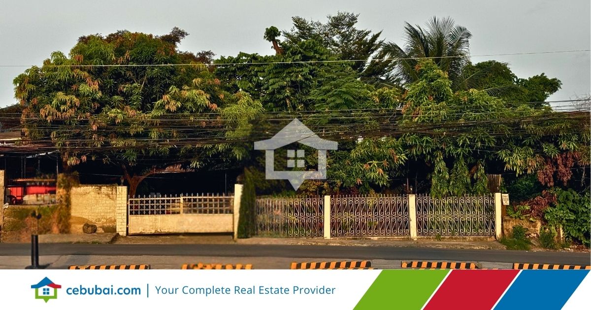 Rush Sale: Old House and Lot in Uptown Cebu