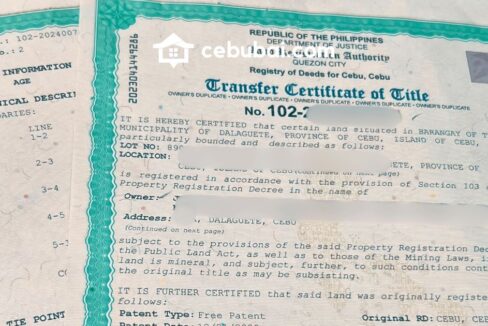 Property due diligence services in Cebu showing a real estate professional reviewing land title documents